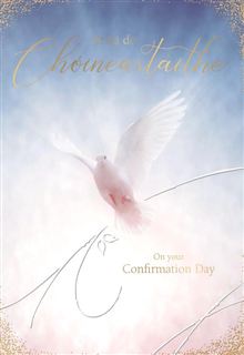 Irish Language 8x5 - Photographic Dove